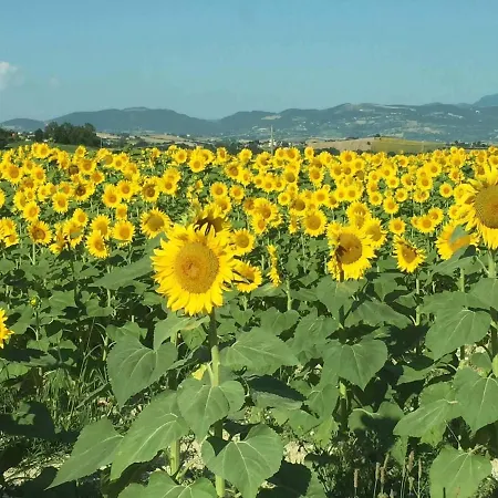 Country -private Pool, Jacuzzi, Tennis Court- * Bagnolo (Marche)