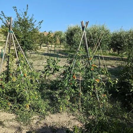 Country -private Pool, Jacuzzi, Tennis Court- * Bagnolo (Marche)